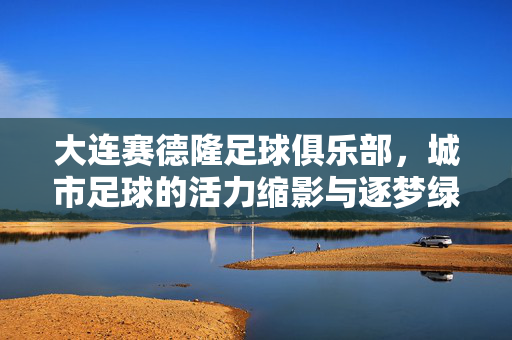 大连赛德隆足球俱乐部，城市足球的活力缩影与逐梦绿茵的青春印记，大连赛德隆足球俱乐部，城市足球的活力缩影与逐梦绿茵的青春印记