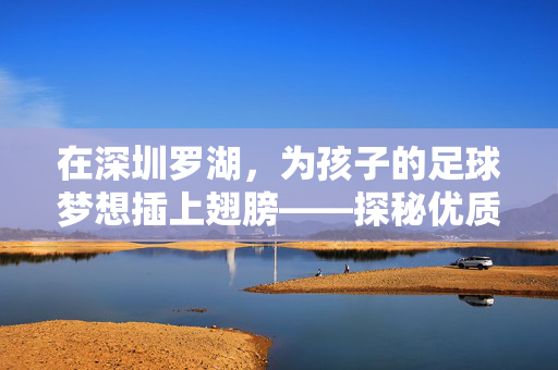在深圳罗湖，为孩子的足球梦想插上翅膀——探秘优质足球培训班，在深圳罗湖，为孩子的足球梦想插上翅膀——探秘优质足球培训班