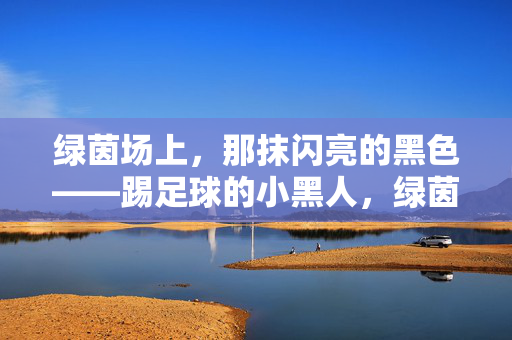 绿茵场上，那抹闪亮的黑色——踢足球的小黑人，绿茵场上，那抹闪亮的黑色——踢足球的小黑人