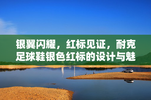 银翼闪耀，红标见证，耐克足球鞋银色红标的设计与魅力解析，银翼闪耀，红标见证，耐克足球鞋银色红标的设计与魅力解析