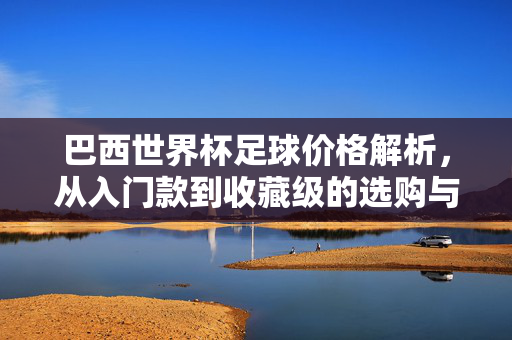 巴西世界杯足球价格解析，从入门款到收藏级的选购与价值分析