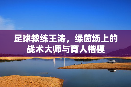 足球教练王涛，绿茵场上的战术大师与育人楷模