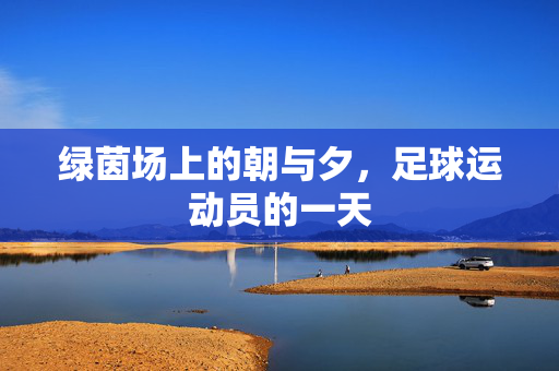 绿茵场上的朝与夕，足球运动员的一天