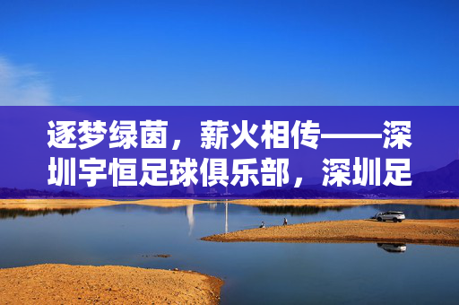 逐梦绿茵,薪火相传——深圳宇恒足球俱乐部,深圳足球生态中的新锐力量与青训标杆,逐梦绿茵,薪火相传——深圳宇恒足球俱乐部,深圳足球生态中的新锐力量与青训标杆
