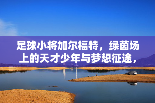 足球小将加尔福特，绿茵场上的天才少年与梦想征途，足球小将加尔福特，绿茵场上的天才少年与梦想征途