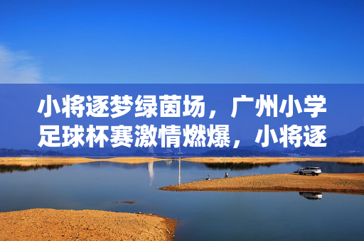 小将逐梦绿茵场，广州小学足球杯赛激情燃爆，小将逐梦绿茵场，广州小学足球杯赛激情燃爆