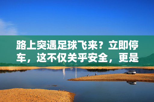 路上突遇足球飞来？立即停车，这不仅关乎安全，更是一种责任，路上突遇足球飞来？立即停车，安全与责任同行