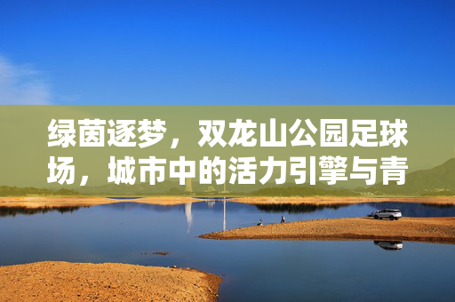 绿茵逐梦，双龙山公园足球场，城市中的活力引擎与青春舞台，绿茵逐梦，双龙山公园足球场，城市中的活力引擎与青春舞台