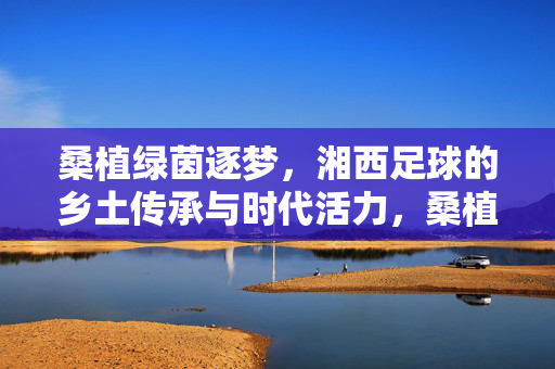 桑植绿茵逐梦，湘西足球的乡土传承与时代活力，桑植绿茵逐梦，湘西足球的乡土传承与时代活力
