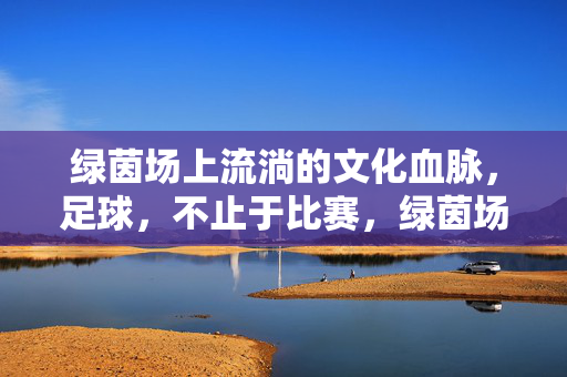 绿茵场上流淌的文化血脉，足球，不止于比赛，绿茵场上流淌的文化血脉，足球，不止于比赛