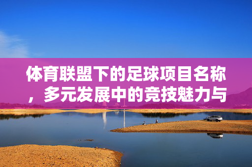 体育联盟下的足球项目名称，多元发展中的竞技魅力与时代价值，体育联盟下的足球项目，多元发展中的竞技魅力与时代价值