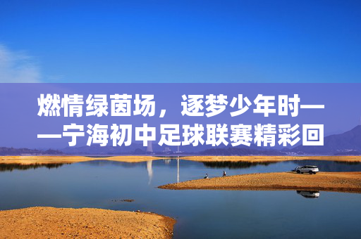 燃情绿茵场，逐梦少年时——宁海初中足球联赛精彩回顾与展望，燃情绿茵场，逐梦少年时——宁海初中足球联赛精彩回顾与展望