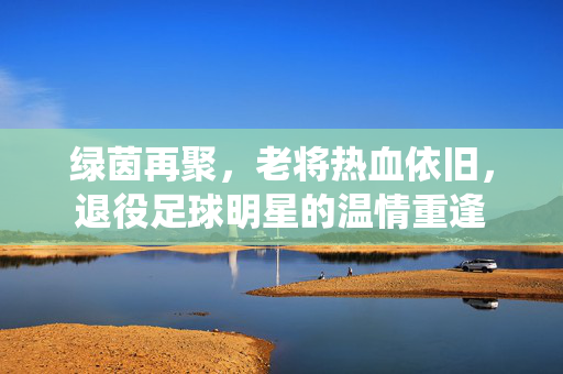绿茵再聚，老将热血依旧，退役足球明星的温情重逢