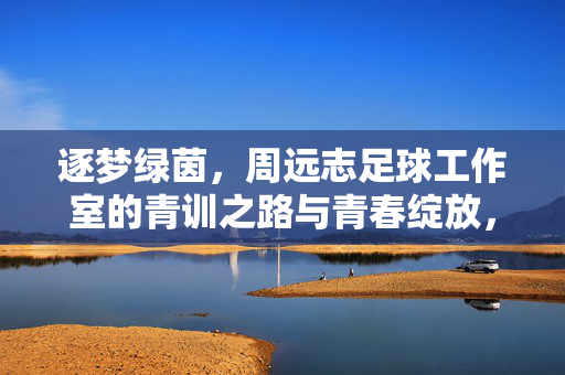 逐梦绿茵，周远志足球工作室的青训之路与青春绽放，逐梦绿茵，周远志足球工作室的青训之路与青春绽放
