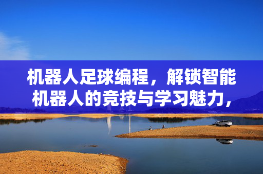 机器人足球编程，解锁智能机器人的竞技与学习魅力，机器人足球编程，解锁智能机器人的竞技与学习魅力