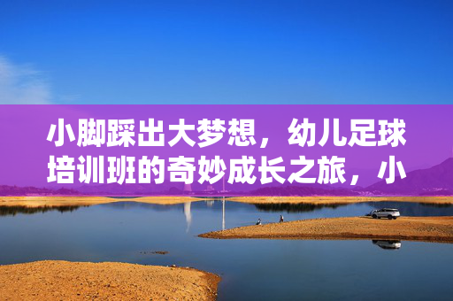 小脚踩出大梦想，幼儿足球培训班的奇妙成长之旅，小脚踩出大梦想，幼儿足球培训班的奇妙成长之旅