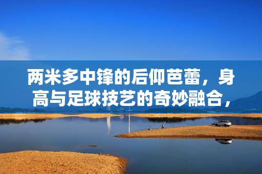 两米多中锋的后仰芭蕾，身高与足球技艺的奇妙融合，两米多中锋的后仰芭蕾，身高与足球技艺的奇妙融合