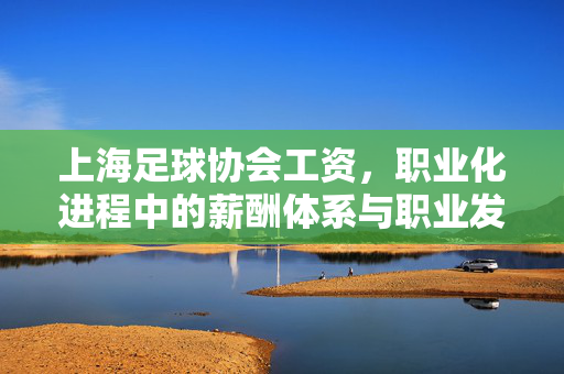 上海足球协会工资，职业化进程中的薪酬体系与职业发展路径，上海足球协会工资，职业化进程中的薪酬体系与职业发展路径