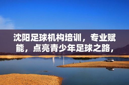 沈阳足球机构培训，专业赋能，点亮青少年足球之路，沈阳足球机构培训，专业赋能，点亮青少年足球之路