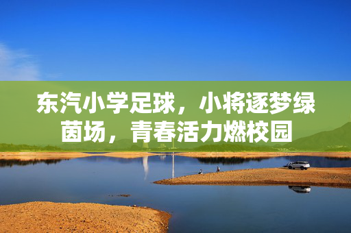 东汽小学足球，小将逐梦绿茵场，青春活力燃校园