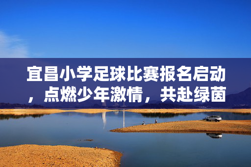 宜昌小学足球比赛报名启动，点燃少年激情，共赴绿茵逐梦之旅，宜昌小学足球比赛报名启动，点燃少年激情，共赴绿茵逐梦之旅