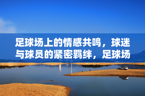 足球场上的情感共鸣，球迷与球员的紧密羁绊，足球场上的情感共鸣，球迷与球员的紧密羁绊