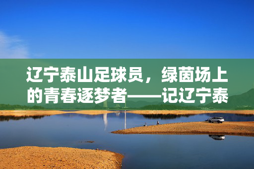 辽宁泰山足球员，绿茵场上的青春逐梦者——记辽宁泰山队中的年轻力量