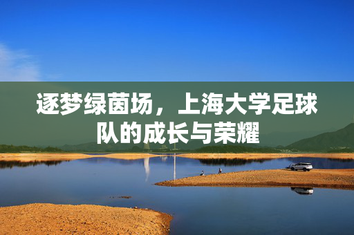 逐梦绿茵场，上海大学足球队的成长与荣耀