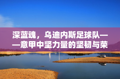 深蓝魂，乌迪内斯足球队——意甲中坚力量的坚韧与荣耀，深蓝魂，乌迪内斯足球队——意甲中坚力量的坚韧与荣耀