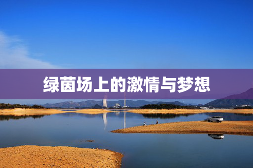 绿茵场上的激情与梦想
