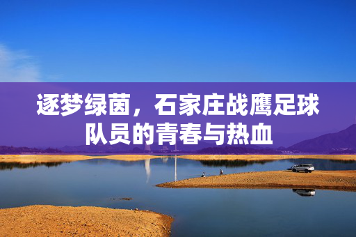 逐梦绿茵，石家庄战鹰足球队员的青春与热血