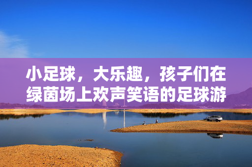 小足球，大乐趣，孩子们在绿茵场上欢声笑语的足球游戏