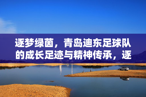 逐梦绿茵，青岛迪东足球队的成长足迹与精神传承，逐梦绿茵，青岛迪东足球队的成长足迹与精神传承