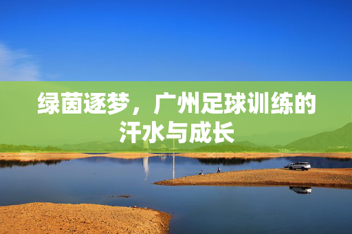 绿茵逐梦，广州足球训练的汗水与成长