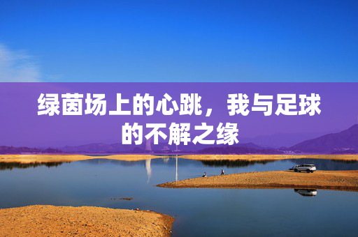 绿茵场上的心跳，我与足球的不解之缘