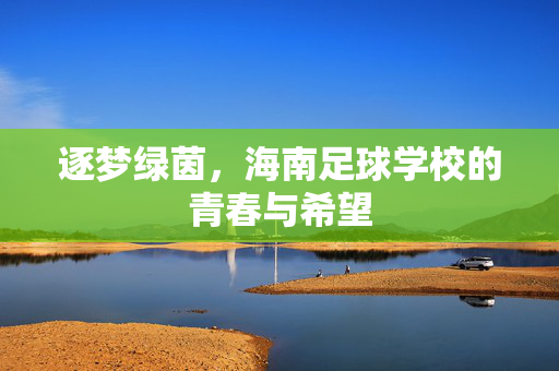 逐梦绿茵，海南足球学校的青春与希望