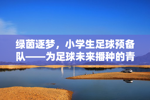 绿茵逐梦，小学生足球预备队——为足球未来播种的青春摇篮，绿茵逐梦，小学生足球预备队——为足球未来播种的青春摇篮