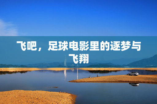 飞吧，足球电影里的逐梦与飞翔