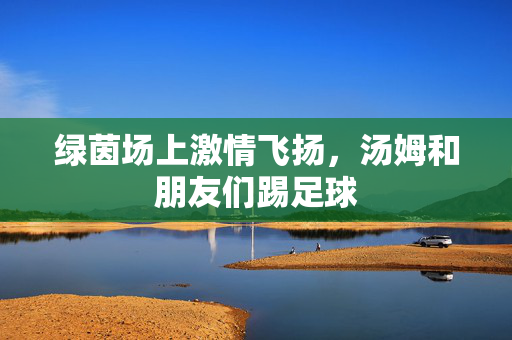 绿茵场上激情飞扬，汤姆和朋友们踢足球
