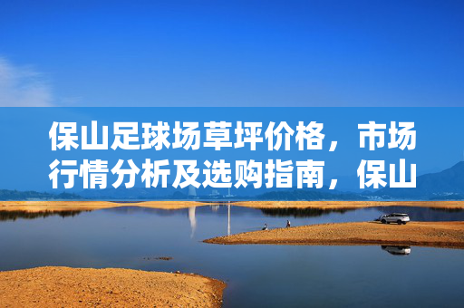 保山足球场草坪价格，市场行情分析及选购指南，保山足球场草坪价格、市场行情分析及选购指南