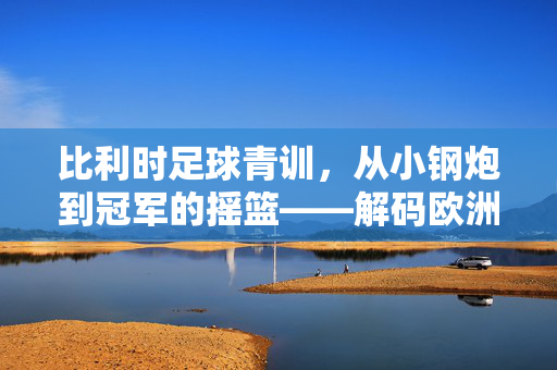 比利时足球青训，从小钢炮到冠军的摇篮——解码欧洲足球强国的青训密码