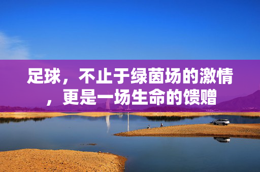 足球，不止于绿茵场的激情，更是一场生命的馈赠