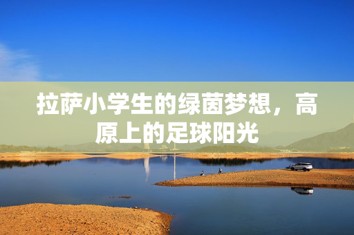 拉萨小学生的绿茵梦想，高原上的足球阳光
