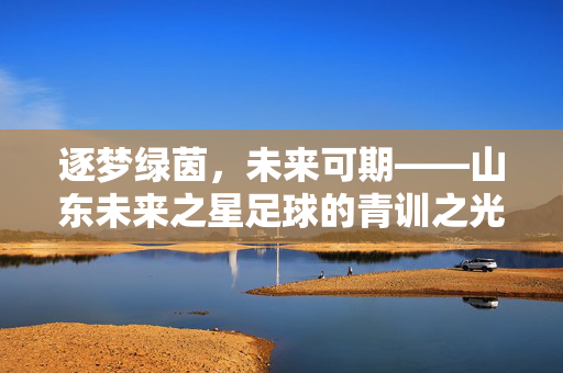 逐梦绿茵，未来可期——山东未来之星足球的青训之光