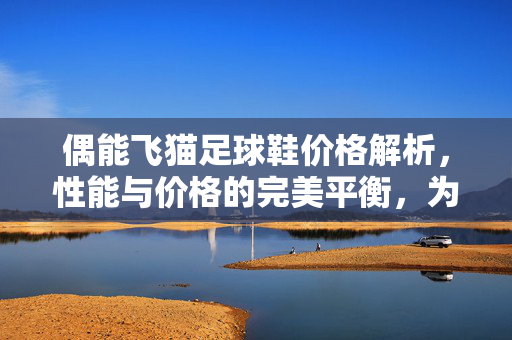偶能飞猫足球鞋价格解析，性能与价格的完美平衡，为你的足球之路添砖加瓦