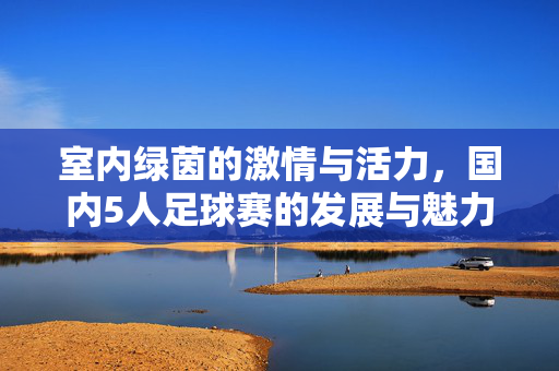 室内绿茵的激情与活力，国内5人足球赛的发展与魅力解析