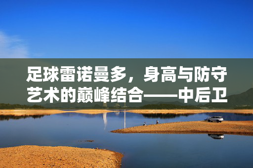足球雷诺曼多，身高与防守艺术的巅峰结合——中后卫的身高密码与职业传奇，足球雷诺曼多，身高与防守艺术的巅峰结合——中后卫的身高密码与职业传奇