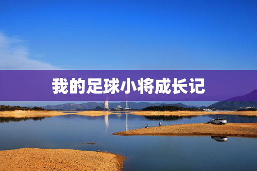 我的足球小将成长记