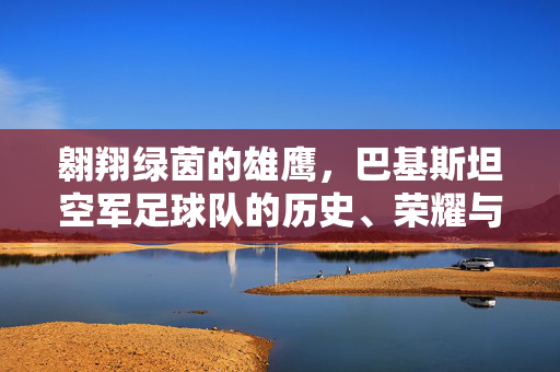 翱翔绿茵的雄鹰，巴基斯坦空军足球队的历史、荣耀与精神传承，翱翔绿茵的雄鹰，巴基斯坦空军足球队的历史、荣耀与精神传承