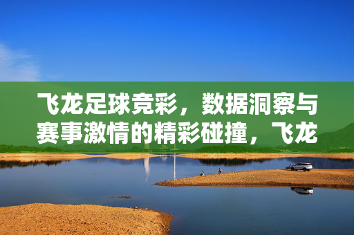 飞龙足球竞彩，数据洞察与赛事激情的精彩碰撞，飞龙足球竞彩，数据洞察与赛事激情的精彩碰撞